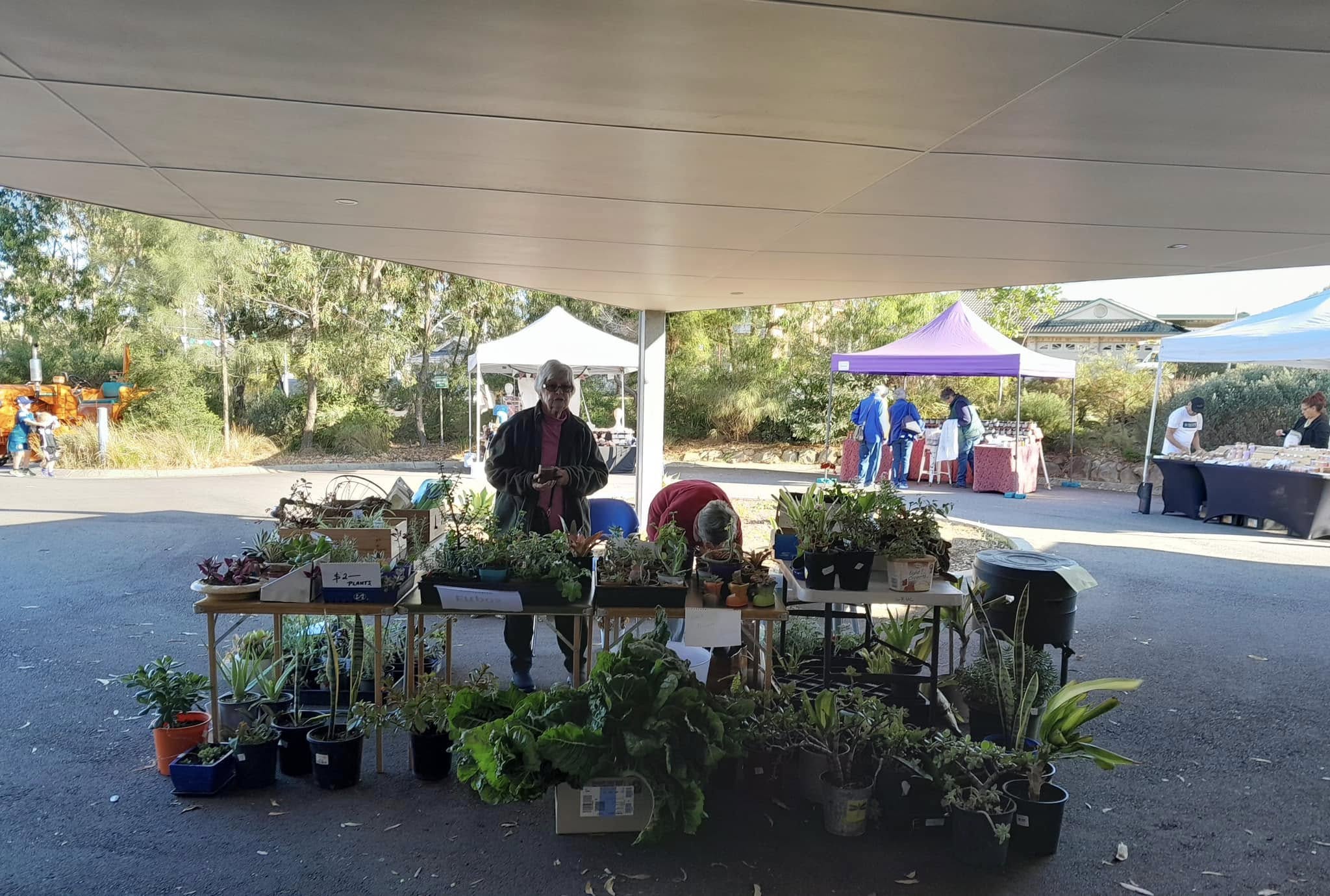 Plant stall at a community market